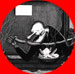 CLICK here to view image 5