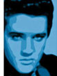CLICK here to visit the'Elvis Presley' website